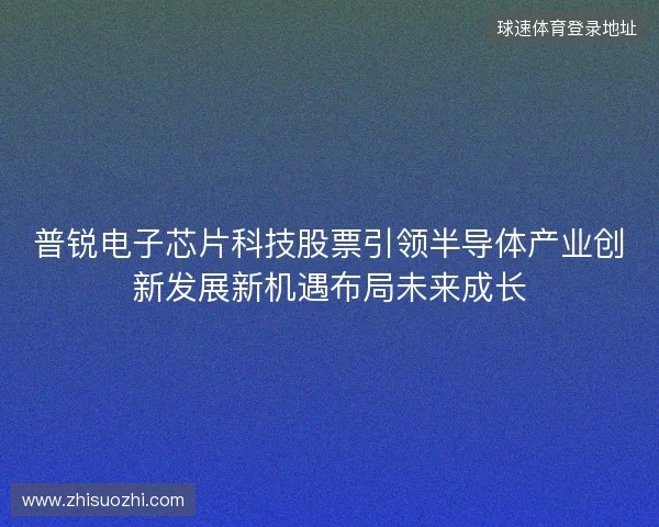 普锐电子芯片科技股票引领半导体产业创新发展新机遇布局未来成长 普锐电子芯片科技股票引领半导体产业创新发展新机遇布局未来成长