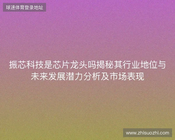 振芯科技是芯片龙头吗揭秘其行业地位与未来发展潜力分析及市场表现